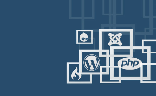 Government and marketplace